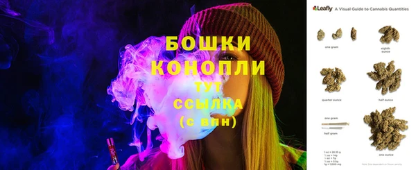 ПСИЛОЦИБИНОВЫЕ ГРИБЫ Белокуриха